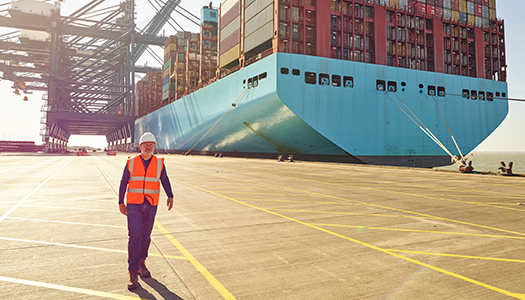 A transportation worker at a container port with a container ship in the background.